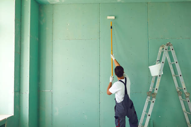 Best Mold Prevention Services  in Canton Valley, CT