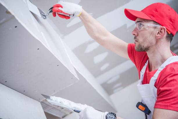 Best Environmental Consulting for Mold Prevention  in Canton Valley, CT